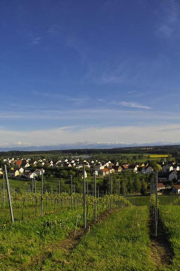 Fewo Schillerstrasse 马克多夫 外观 照片